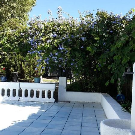 La Marina Gardens Beach Scauri  Exterior photo